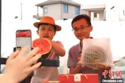 梦见游泳（乡村行·看振兴）江西安福“小西瓜”撬动乡村共富“大支点”