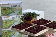 梦见游泳高速赋能产业升级：一条“杨梅路”的致富密码