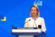 梦见游泳受虐？欧盟外长：美国是“严厉的爱”，总比没爱强